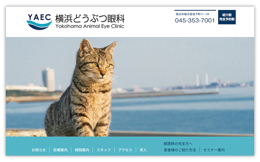 横浜どうぶつ眼科（YAEC）