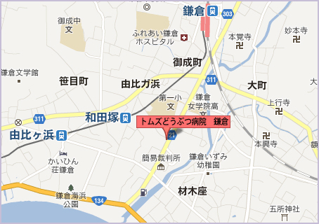 トムズどうぶつ病院鎌倉のグーグルマップ画像